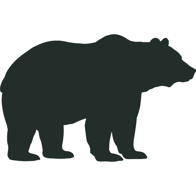 Bear silhouette
